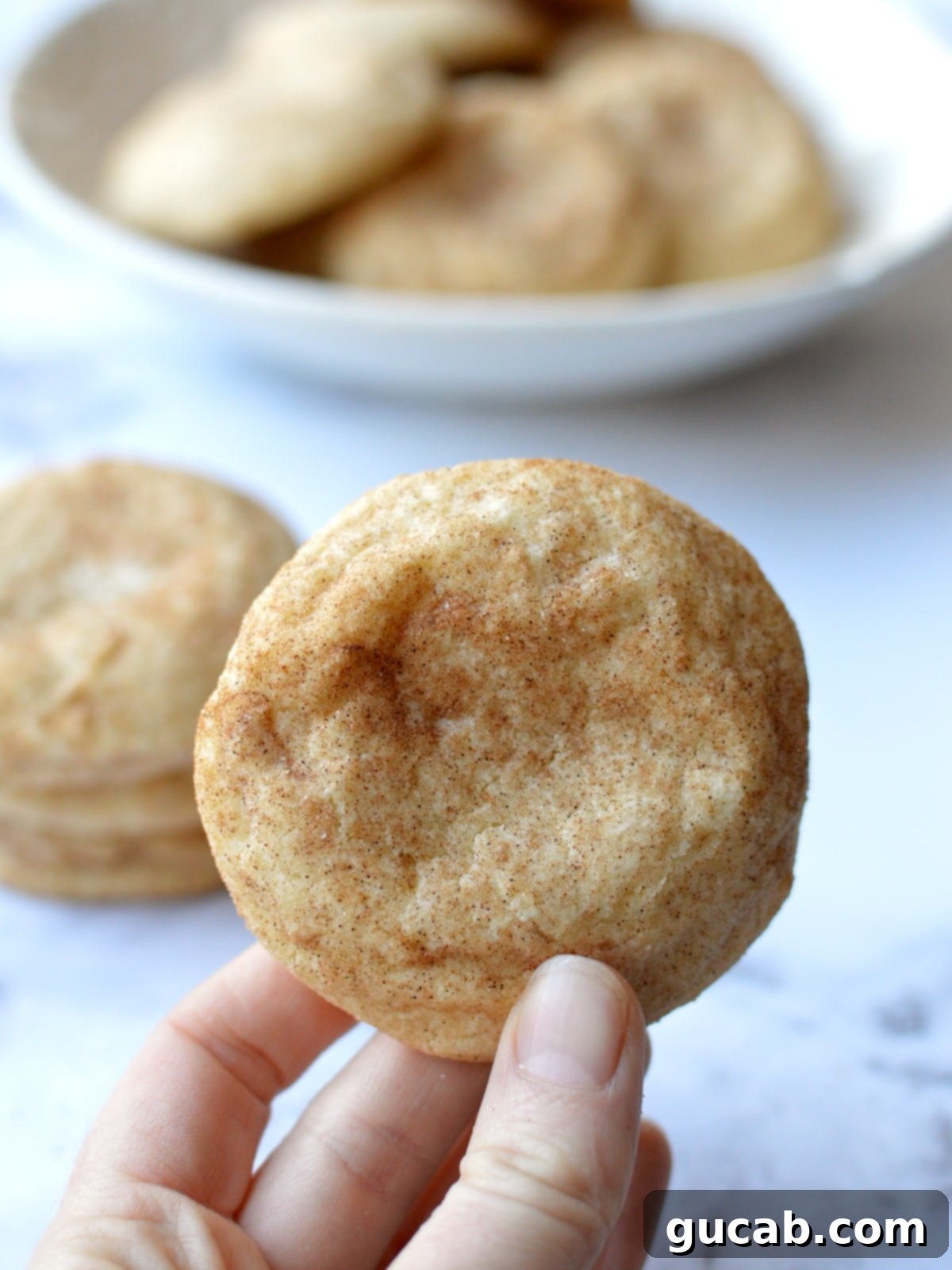 Soft and chewy gluten-free snickerdoodle cookie with a perfect crinkle top, rolled in cinnamon sugar