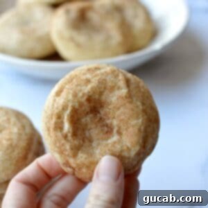 Gluten-Free Snickerdoodles Recipe Card Image