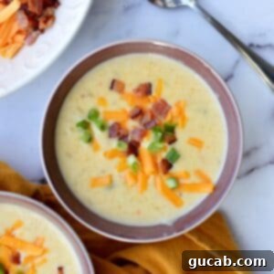 a bowl of potato soup with cheese