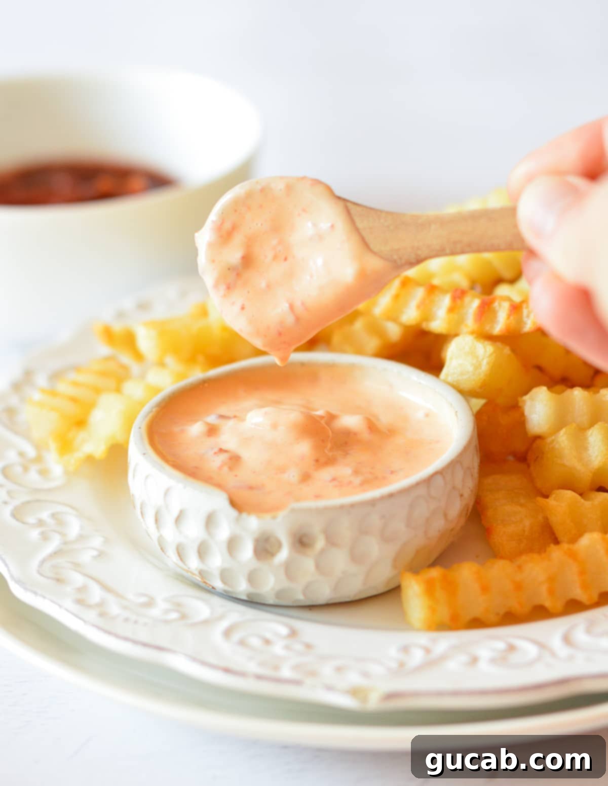 Homemade Chipotle Mayo 2 a spoonful of chipotle mayo and fries.