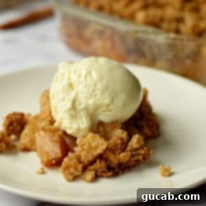 Wholesome Apple Crumble 11 apple crumble on a plate with ice cream