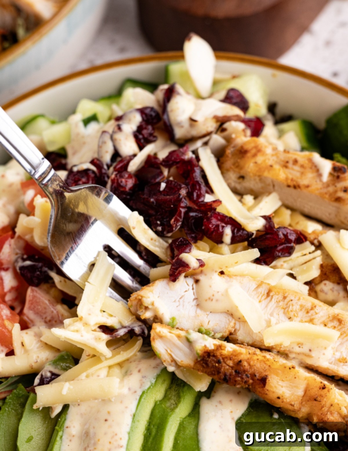 close up of a fork digging into a salad with dried cranberries, grilled chicken, avocado, and honey mustard. 
