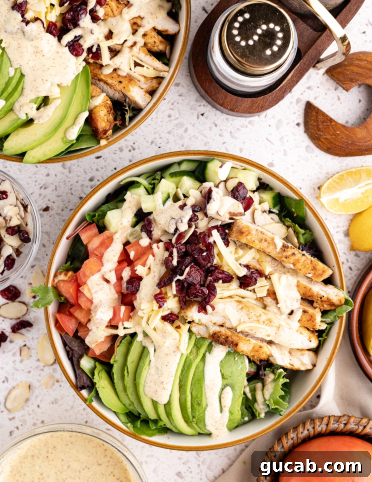 a large mixed greens salad with grilled chicken, dried cranberries, tomatoes, avocado, and honey mustard dressing. 
