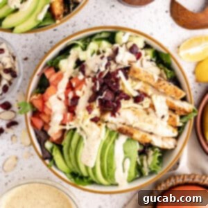 mixed greens salad with avocado, grilled chicken, tomatoes, cheese, dried cranberries, and homemade honey mustard.