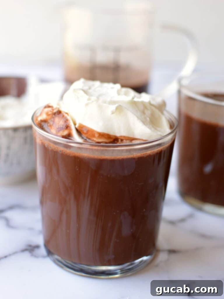 Velvety Oat Milk Hot Chocolate 2 A glass of creamy oat milk hot chocolate topped with fluffy whipped cream and a sprinkle of cocoa powder, perfect for a cozy evening