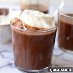Velvety Oat Milk Hot Chocolate 9 a cup of vegan hot chocolate, garnished with a sprinkle of cocoa