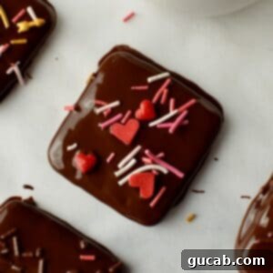 a chocolate covered graham cracker with sprinkles