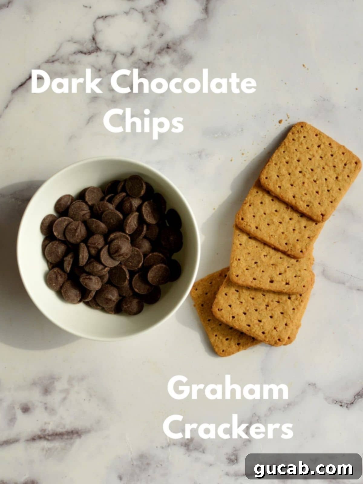 Ingredients for making homemade chocolate covered graham crackers: high-quality dark chocolate chips and classic graham crackers.