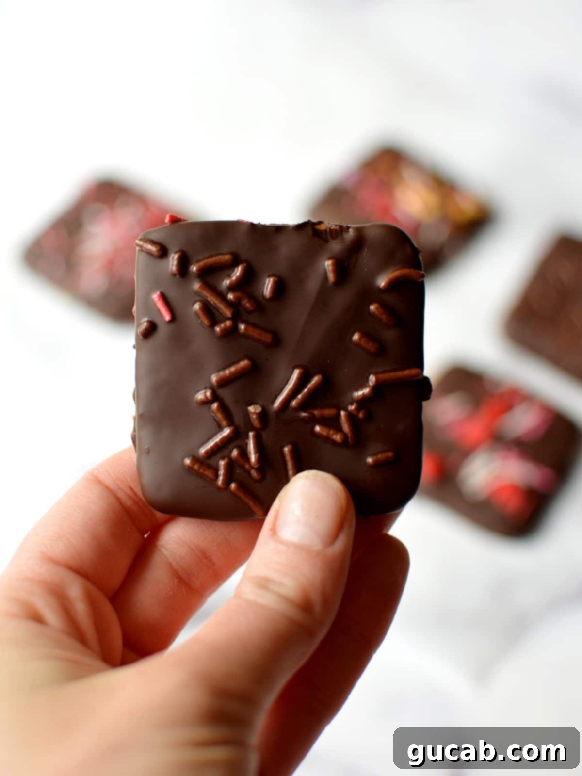 A close-up of a vibrant dark chocolate covered graham cracker adorned with multi-colored sprinkles, ready to be enjoyed as a festive no-bake treat.