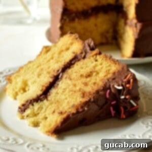Golden Gluten and Dairy-Free Yellow Cake 10 A beautifully decorated slice of fluffy gluten-free dairy-free vanilla cake with chocolate frosting and sprinkles, ready to be enjoyed.