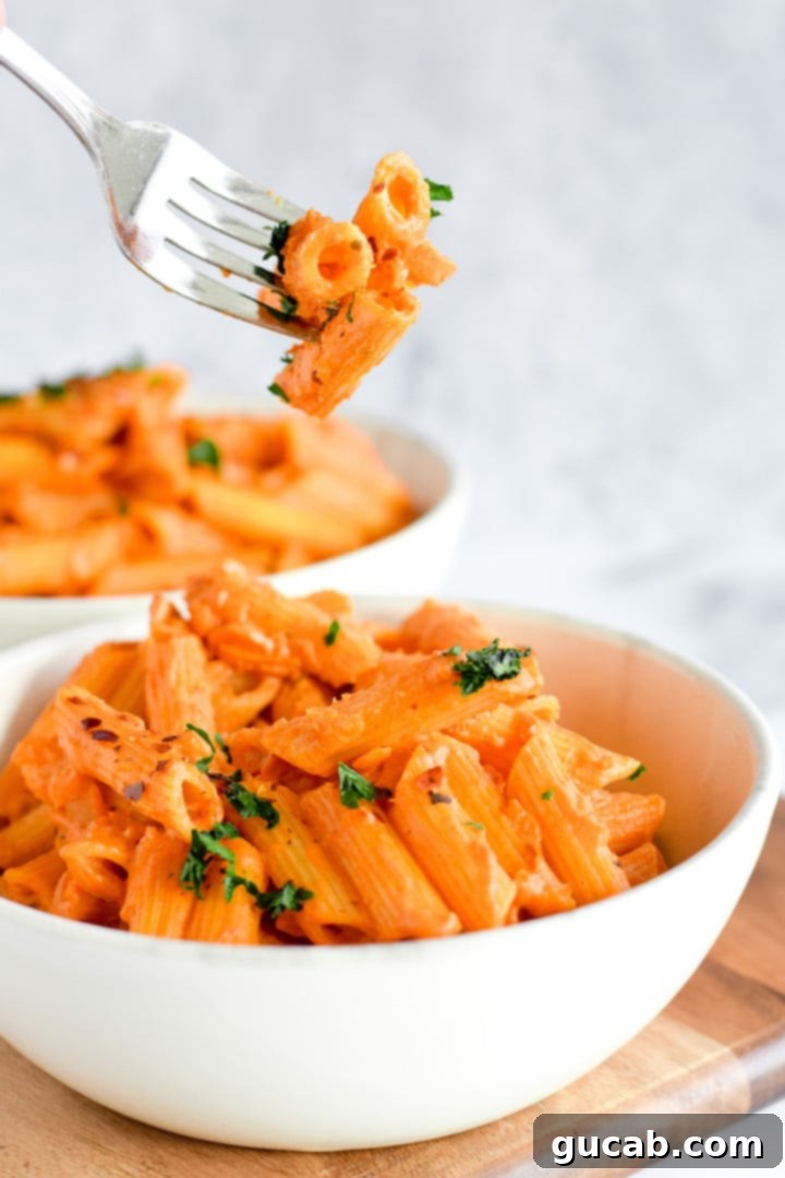 a bowl of pasta in vegan vodka sauce, a creamy gluten-free, dairy-free dinner