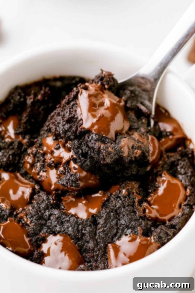 a mug with a brownie in it, a quick and easy vegan, gluten-free, dairy-free dessert