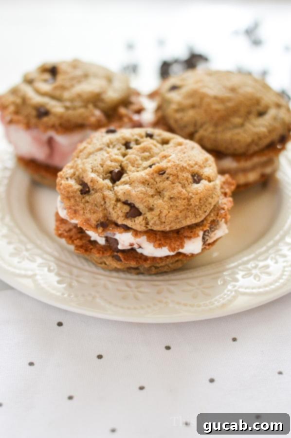 vegan chocolate chip cookie ice cream sandwiches, a delicious gluten-free, dairy-free, egg-free dessert