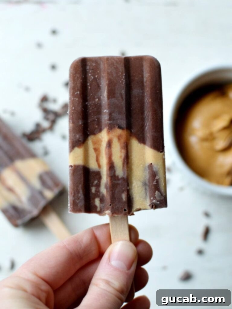 a chocolate and peanut butter popsicle, a healthy and indulgent dairy-free, gluten-free dessert