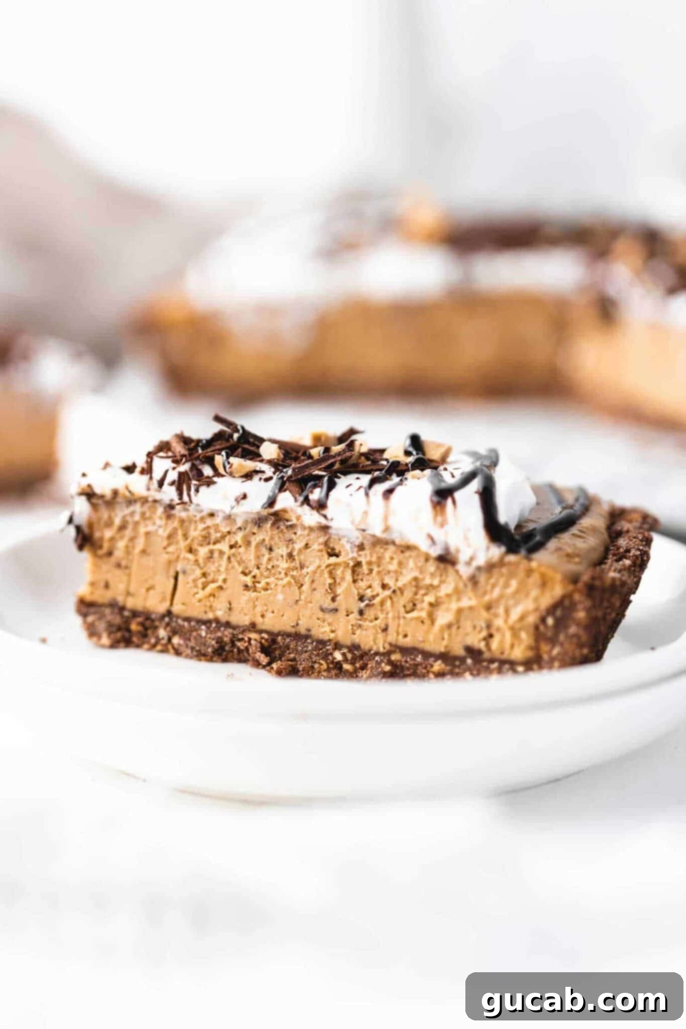 a slice of vegan peanut butter pie with chocolate flakes, a delicious no-bake gluten-free, dairy-free dessert