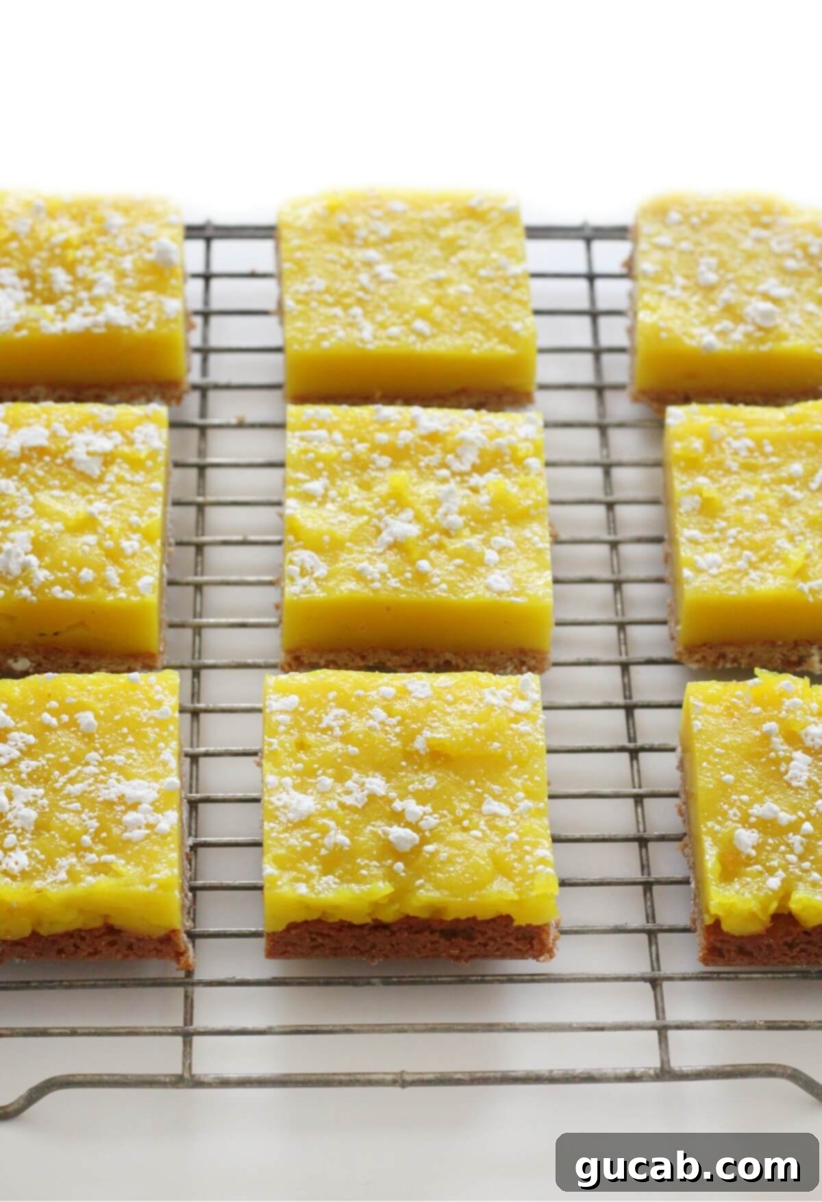 vegan lemon bars, a refreshing gluten-free, egg-free dessert with a sweet and tangy lemon curd