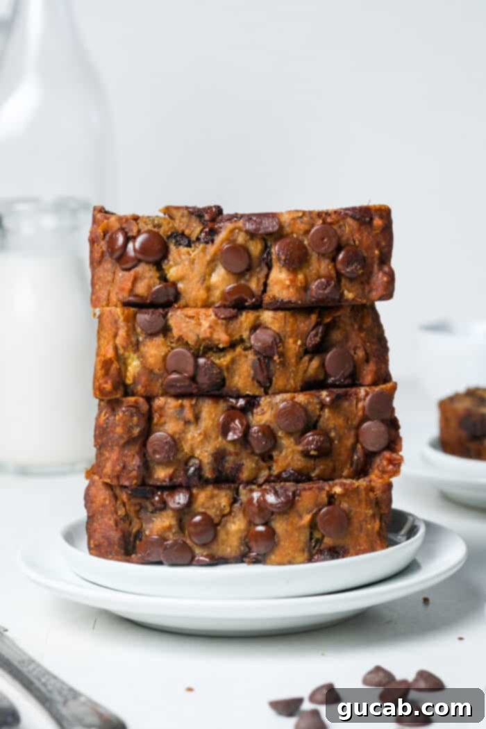 slice of vegan chocolate chip banana bread, a perfect gluten-free, dairy-free, egg-free breakfast or snack