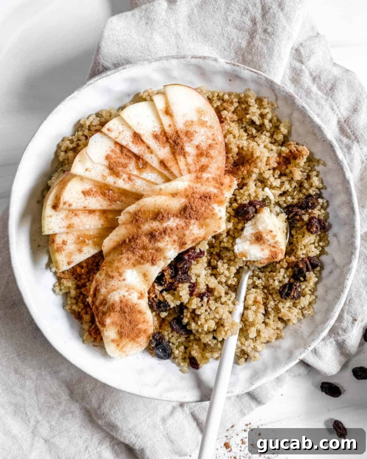 a bowl of quinoa with apples and cinnamon, a healthy gluten-free, dairy-free, egg-free breakfast bowl