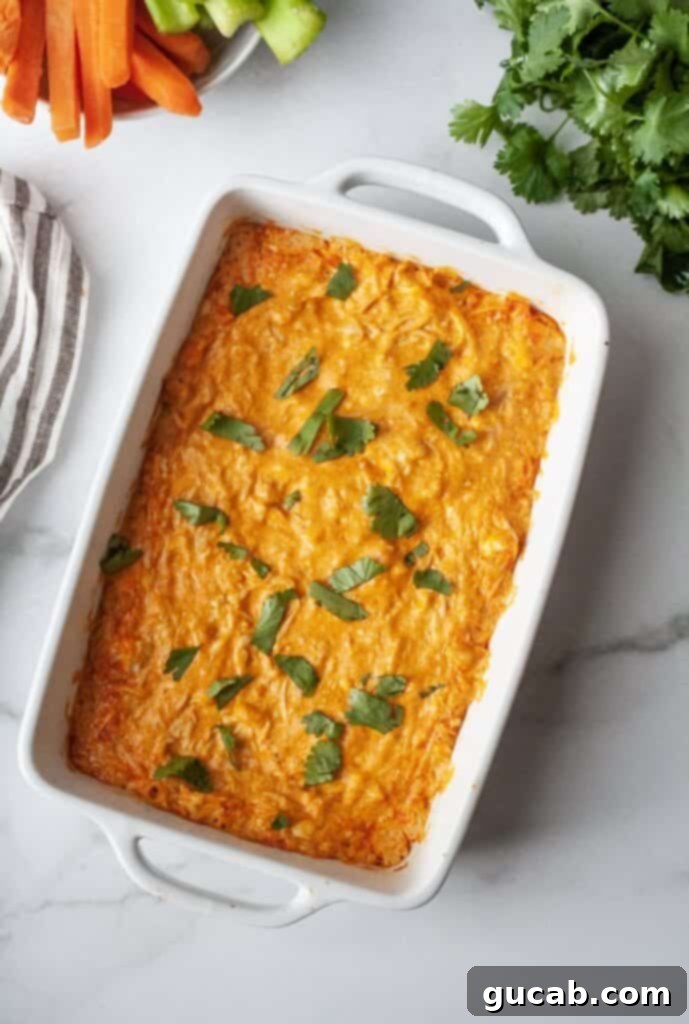 buffalo chicken dip