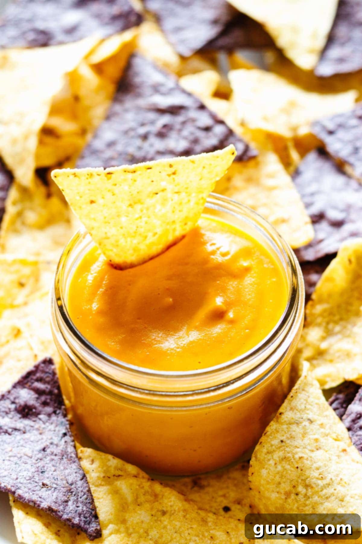 a jar of vegan cheese sauce with tortilla chips