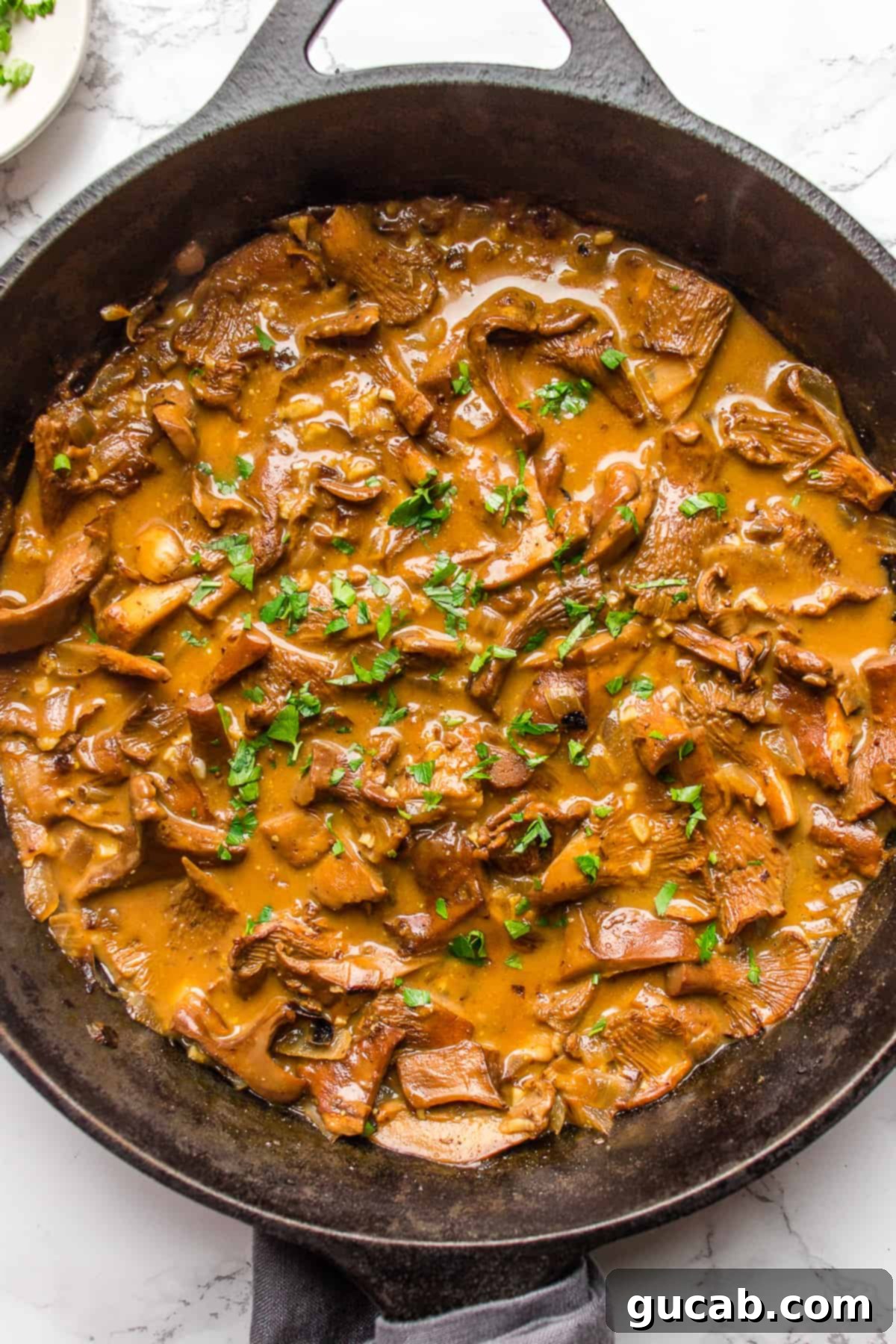 vegan mushroom stroganoff