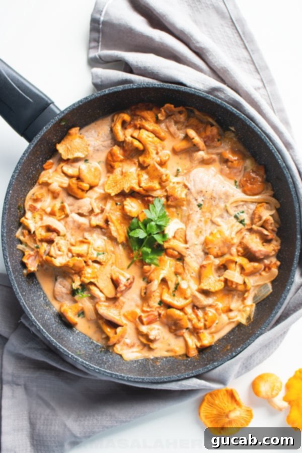 chanterelle mushrooms in a cream sauce