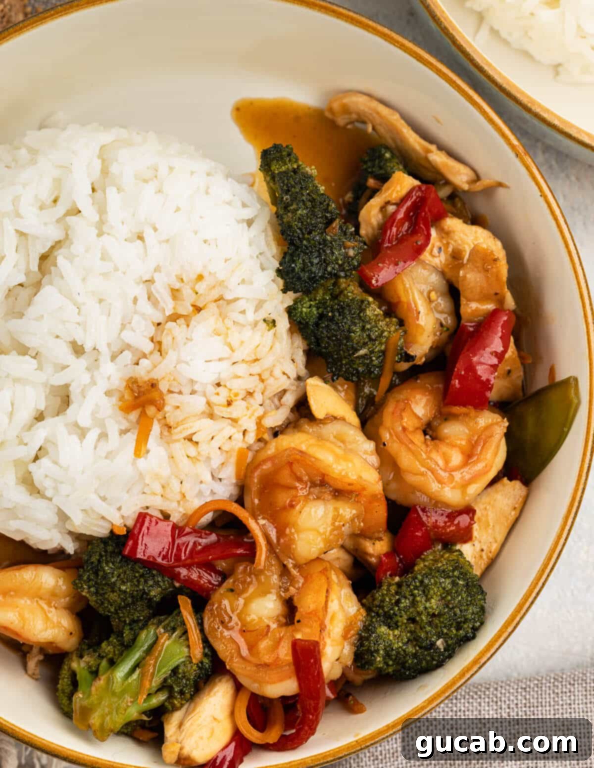 A beautifully plated bowl of white rice topped with generous portions of homemade chicken and shrimp stir fry, showcasing the vibrant vegetables and perfectly cooked proteins.