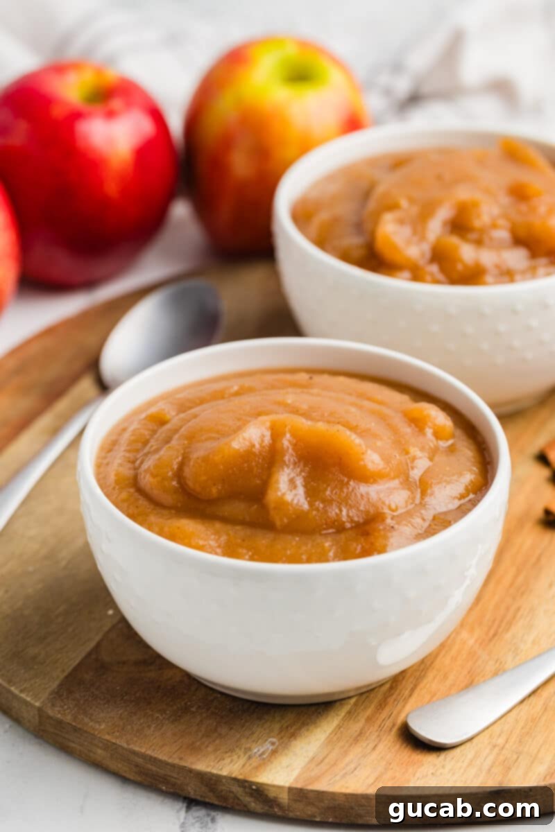 A beautifully presented bowl of homemade no-peel applesauce, garnished with a sprinkle of cinnamon, ready to be enjoyed.