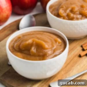 A bowl of homemade no-peel applesauce, showcasing its smooth texture and rich color.