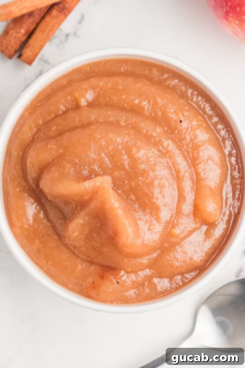 A close-up shot of a creamy, smooth bowl of homemade applesauce, showcasing its inviting texture.