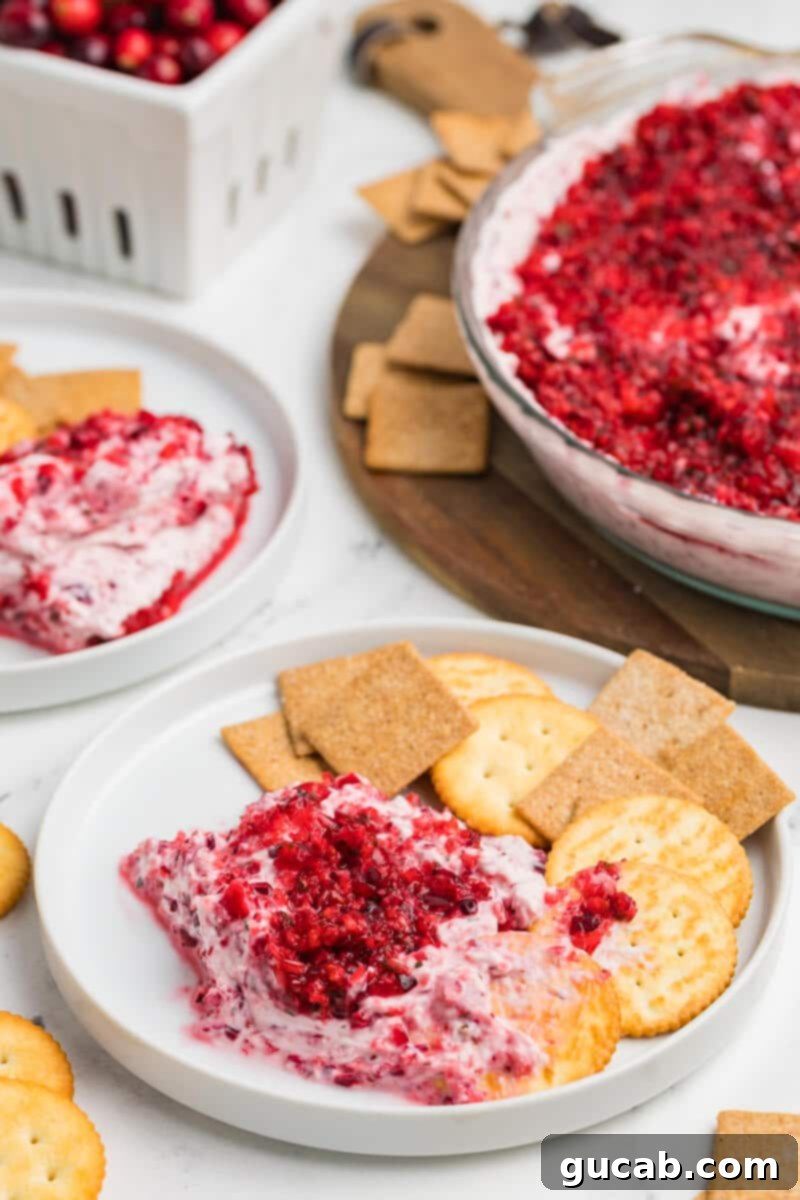 An overhead shot of the cranberry jalapeno cream cheese dip in a white dish, garnished with fresh cranberries and mint, ready to be served at a holiday party.