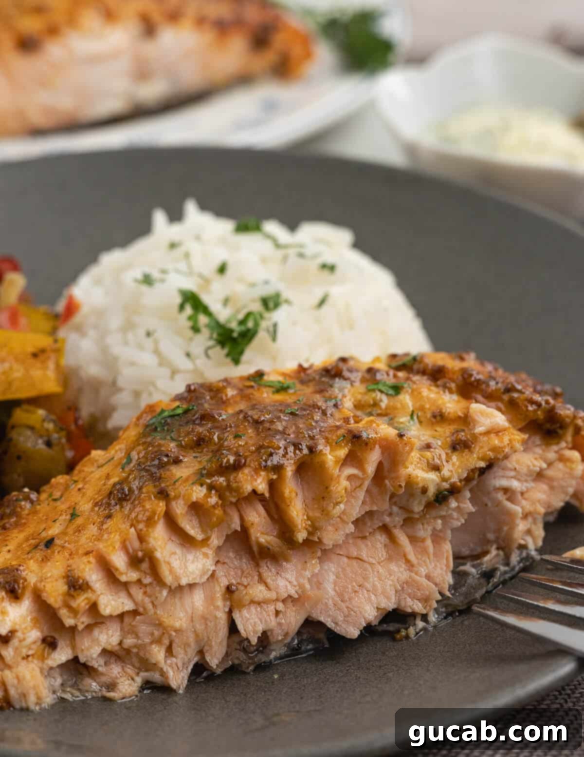 A plate featuring perfectly cooked salmon served with a side of fluffy rice, making for a complete and satisfying meal.