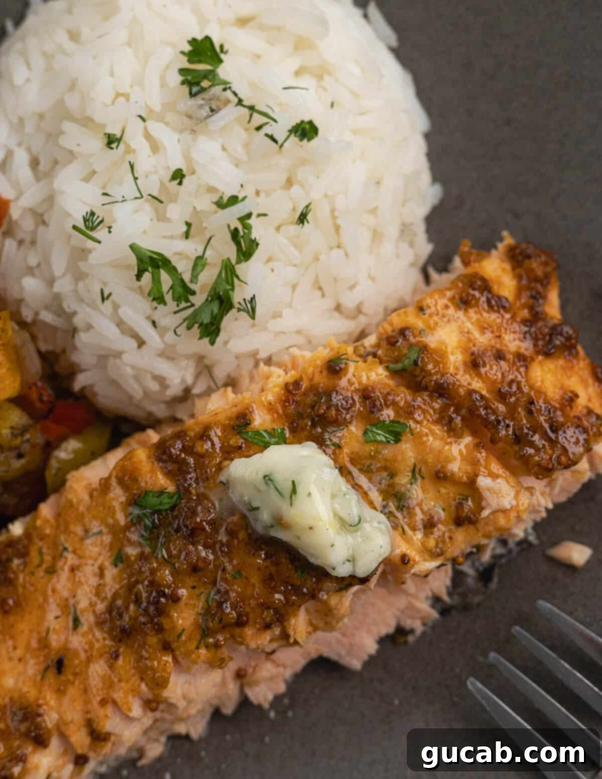 A beautifully presented plate of roasted salmon with herb butter, accompanied by a side of fluffy rice.