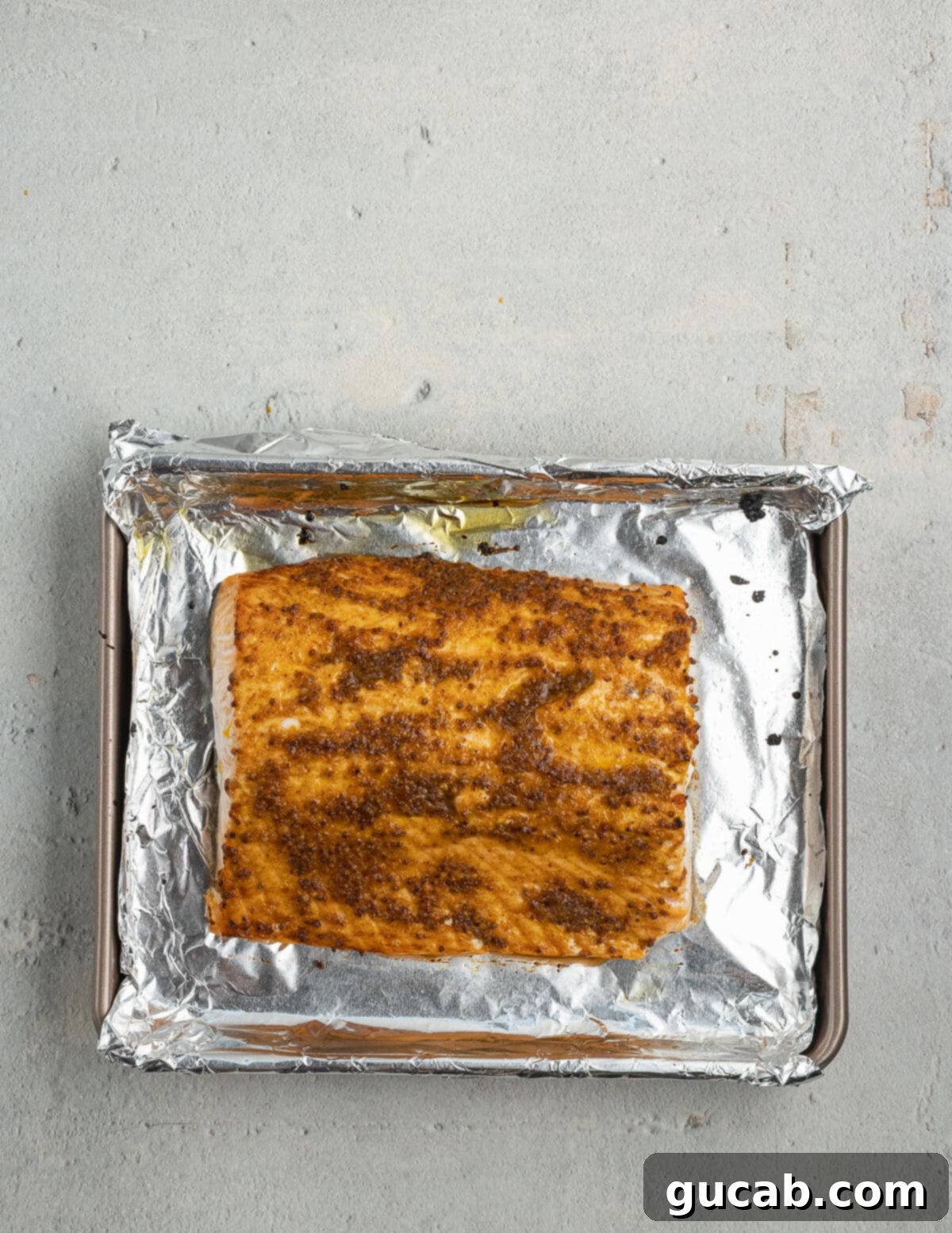 Perfectly cooked salmon, fresh out of the toaster oven, showcasing its beautiful color and flaky texture.