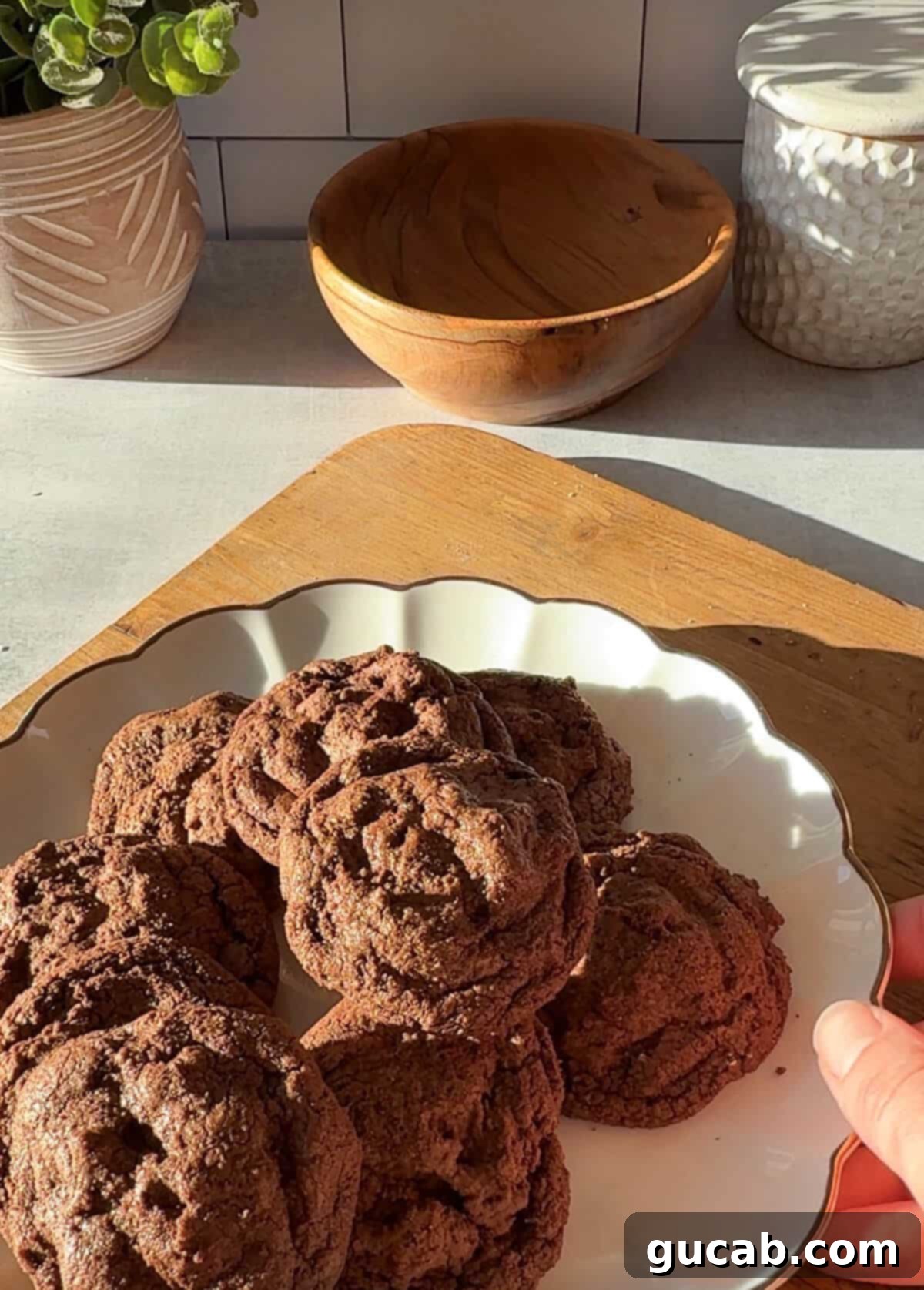 Oat Flour Double Chocolate Chunk Cookies 2 A tempting plate of freshly baked oat flour chocolate cookies, showcasing their rich color and soft texture.