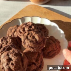 Oat Flour Double Chocolate Chunk Cookies 11 A plate of oat flour chocolate cookies, beautifully arranged and ready to be enjoyed.
