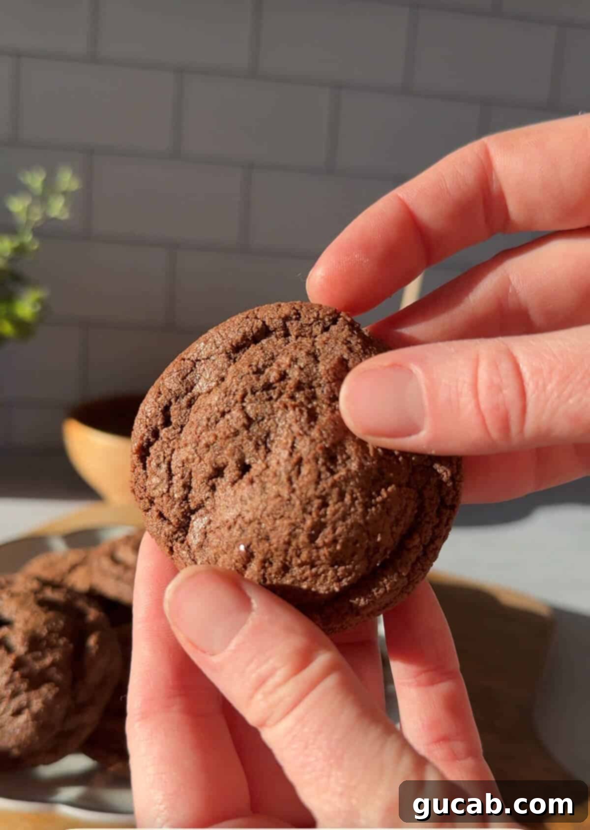 Oat Flour Double Chocolate Chunk Cookies 10 A hand holding a single, perfectly baked chocolate cookie, highlighting its tempting appearance and inviting texture.