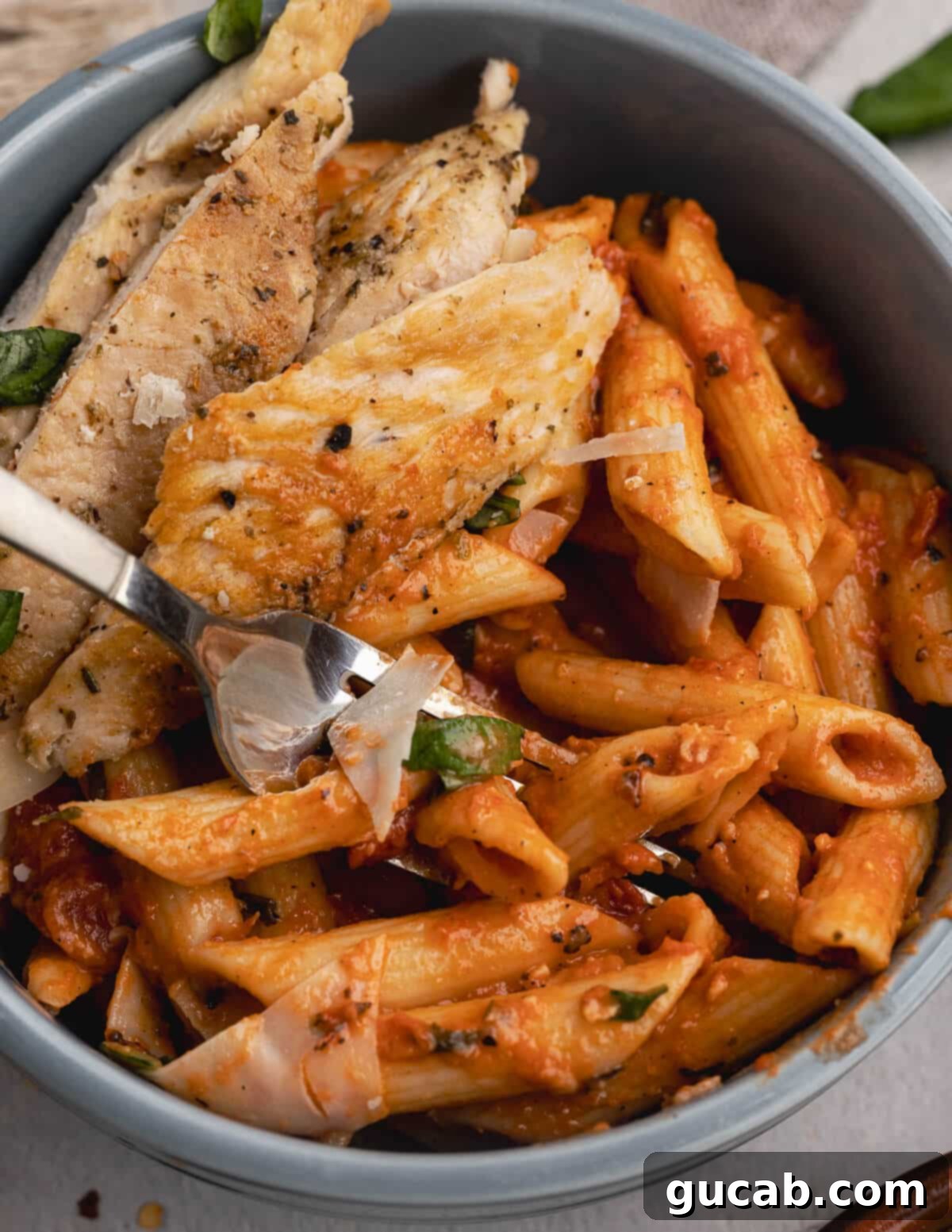 A delectable bowl of vodka pasta topped with perfectly sliced chicken.