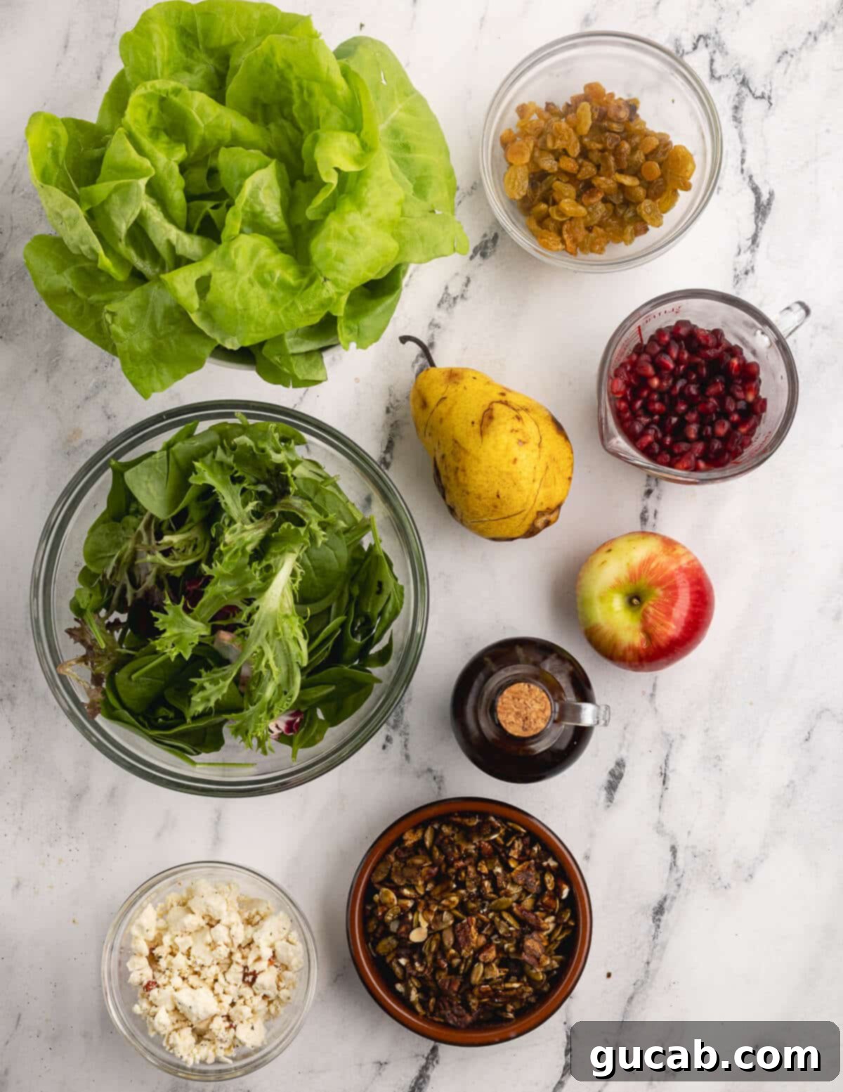 Pomegranate Pear Salad with Candied Pumpkin Seeds 3 Close-up of key ingredients for pomegranate salad.
