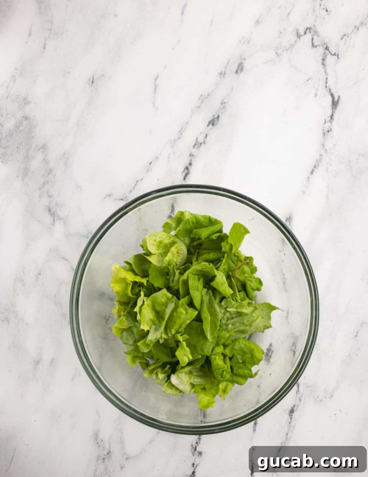 Pomegranate Pear Salad with Candied Pumpkin Seeds 8 Butter lettuce in a bowl ready to be added to the salad.