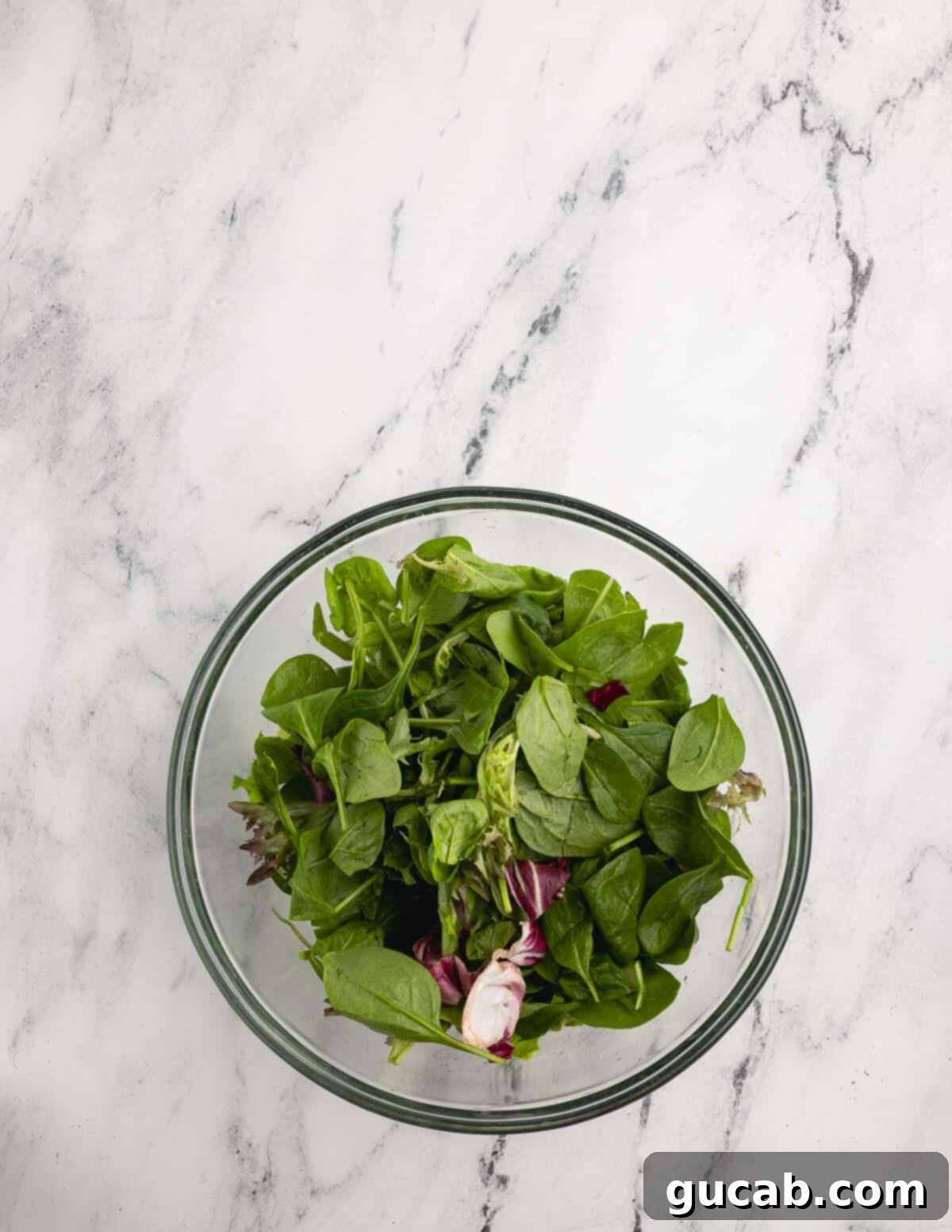 Pomegranate Pear Salad with Candied Pumpkin Seeds 9 Butter lettuce and mixed greens combined in a bowl.