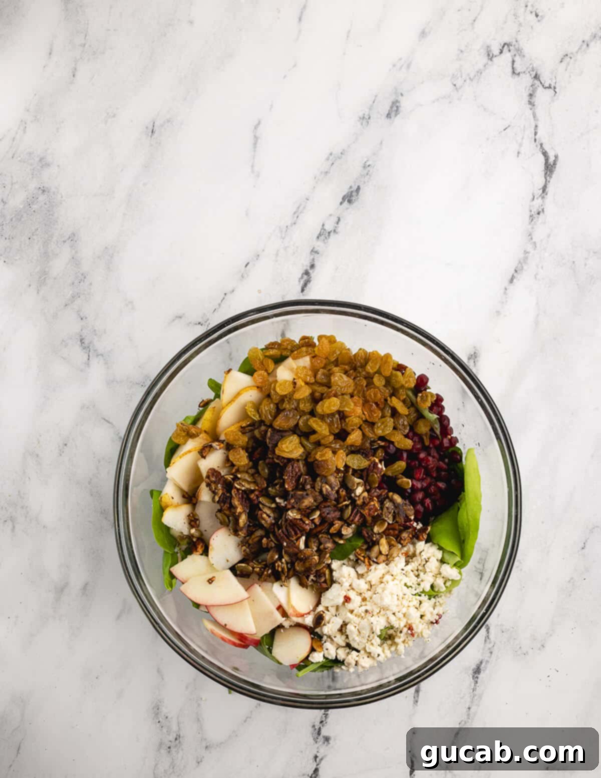 Pomegranate Pear Salad with Candied Pumpkin Seeds 10 Mixed greens, golden raisins, feta cheese, apples, and candied pepitas in a bowl.