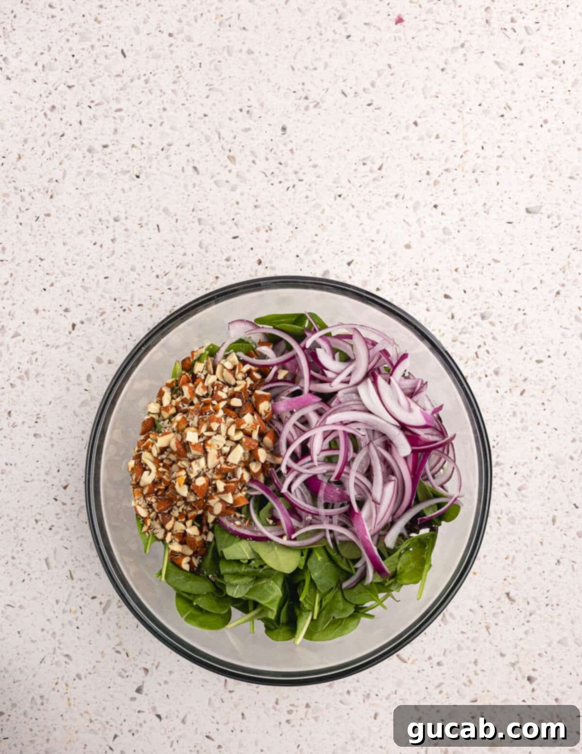 A bowl filled with mixed greens, thinly sliced red onions, and crunchy roasted almonds.
