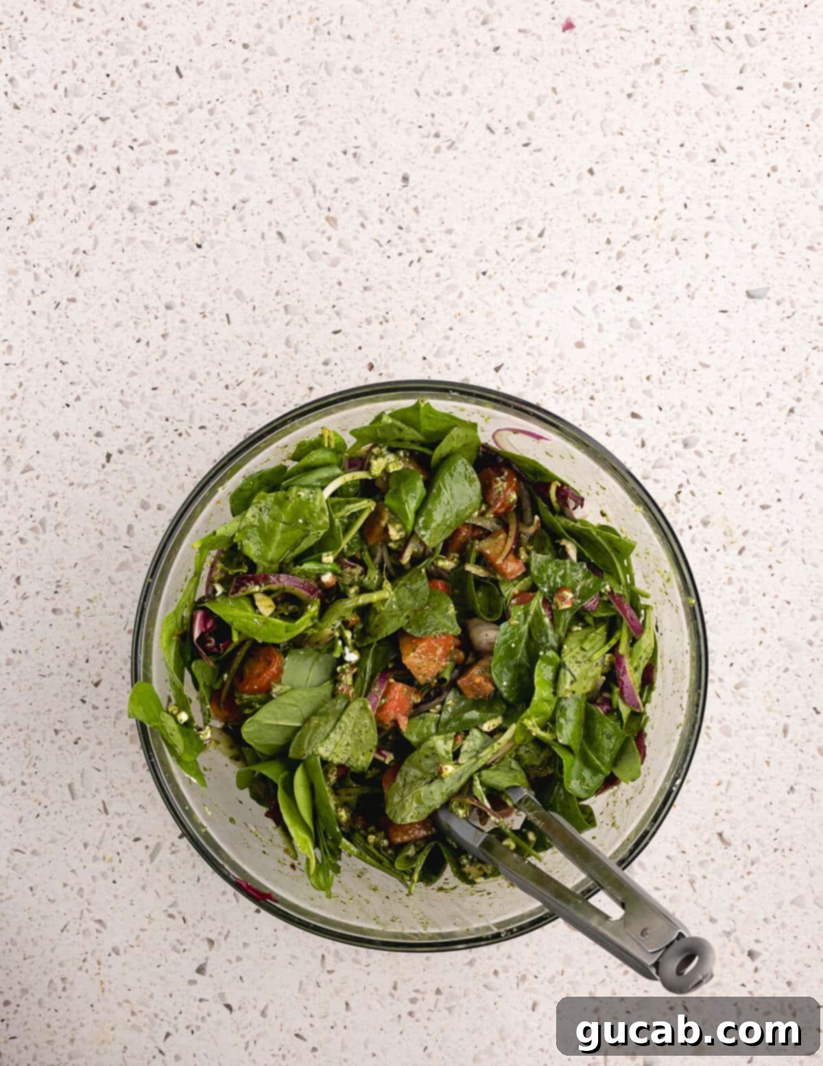 The finished watermelon salad, dressed with honey basil vinaigrette and ready to be enjoyed.