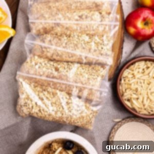 DIY Quick Oats Pouches 11 Bags of homemade instant oatmeal