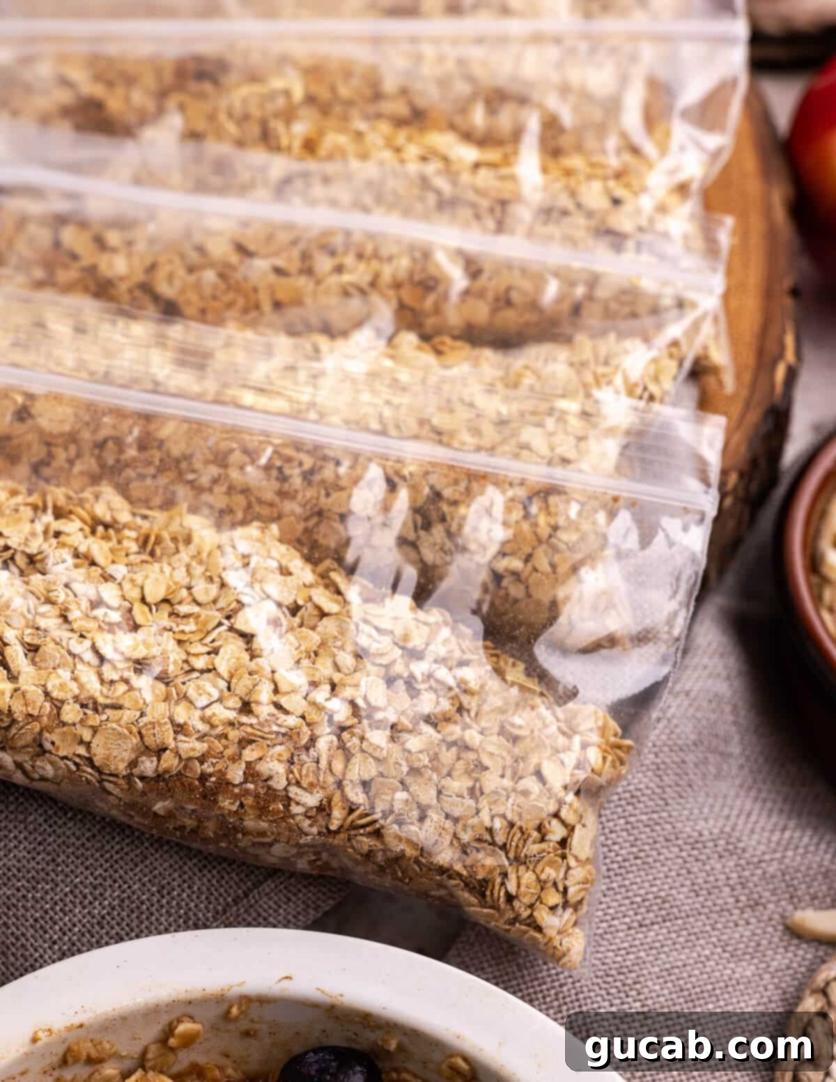 DIY Quick Oats Pouches 8 Instant oatmeal packets ready to go
