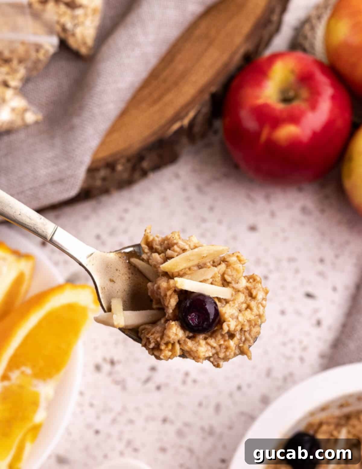 DIY Quick Oats Pouches 9 A spoonful of delicious oatmeal with blueberries and almonds