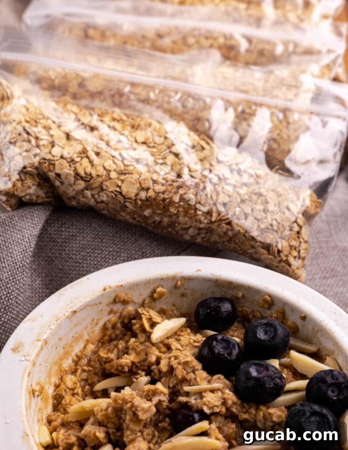 DIY Quick Oats Pouches 10 Oatmeal baggies and a bowl of finished oatmeal